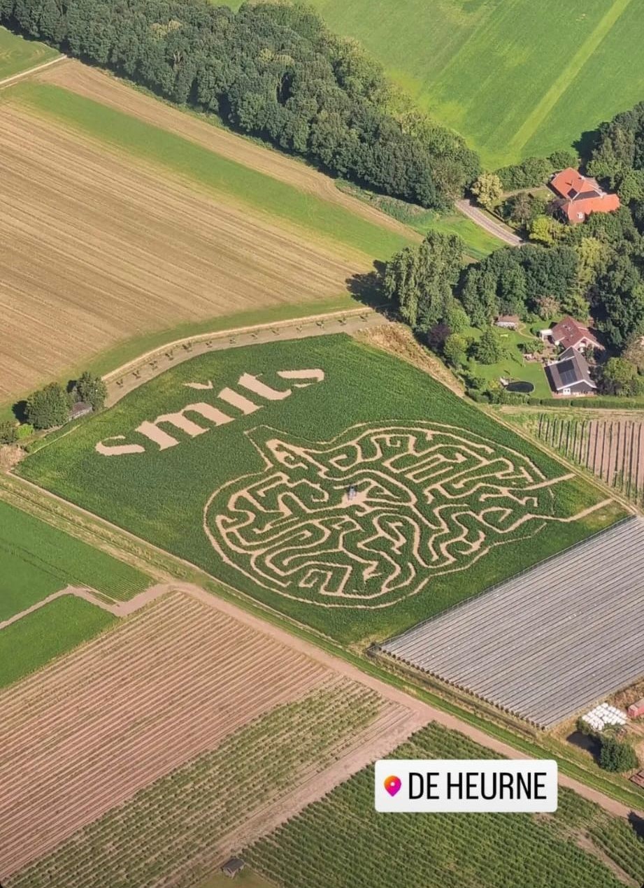Kom verdwalen in ons maïsdoolhof!